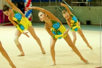 © ВФЭГ (RFAG)