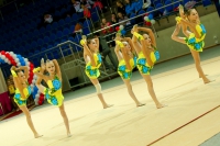 © ВФЭГ (RFAG)