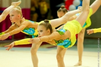 © ВФЭГ (RFAG)