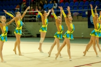 © ВФЭГ (RFAG)