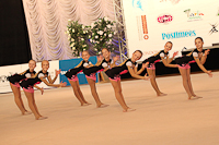 © ВФЭГ (RFAG)