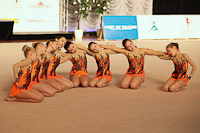 © ВФЭГ (RFAG)