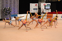 © ВФЭГ (RFAG)