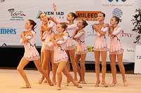 © ВФЭГ (RFAG)