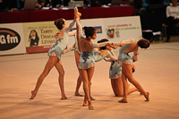 © ВФЭГ (RFAG)