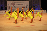 © ВФЭГ (RFAG)