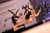 © ВФЭГ (RFAG)