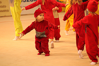 © ВФЭГ (RFAG)