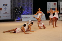 © ВФЭГ (RFAG)