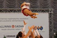 © ВФЭГ (RFAG)