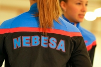 © ВФЭГ (RFAG)