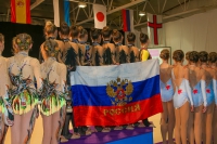 © ВФЭГ (RFAG)