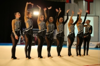© ВФЭГ (RFAG)