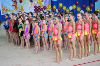 © ВФЭГ (RFAG)