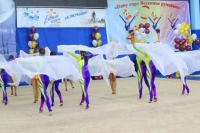 © ВФЭГ (RFAG)