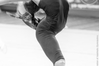 © ВФЭГ (RFAG)