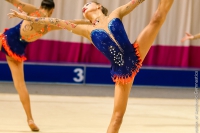 © ВФЭГ (RFAG)