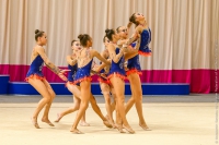 © ВФЭГ (RFAG)