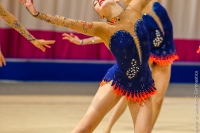 © ВФЭГ (RFAG)