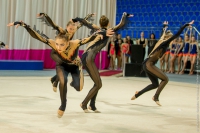 © ВФЭГ (RFAG)