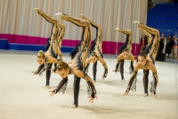 © ВФЭГ (RFAG)