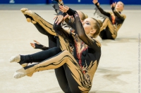 © ВФЭГ (RFAG)