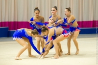 © ВФЭГ (RFAG)