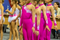 © ВФЭГ (RFAG)
