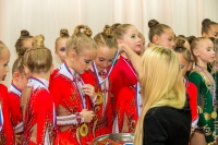 © ВФЭГ (RFAG)